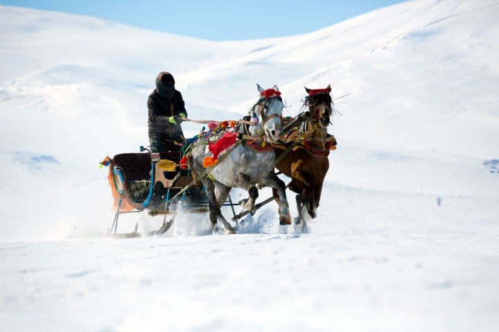 Kars turkey